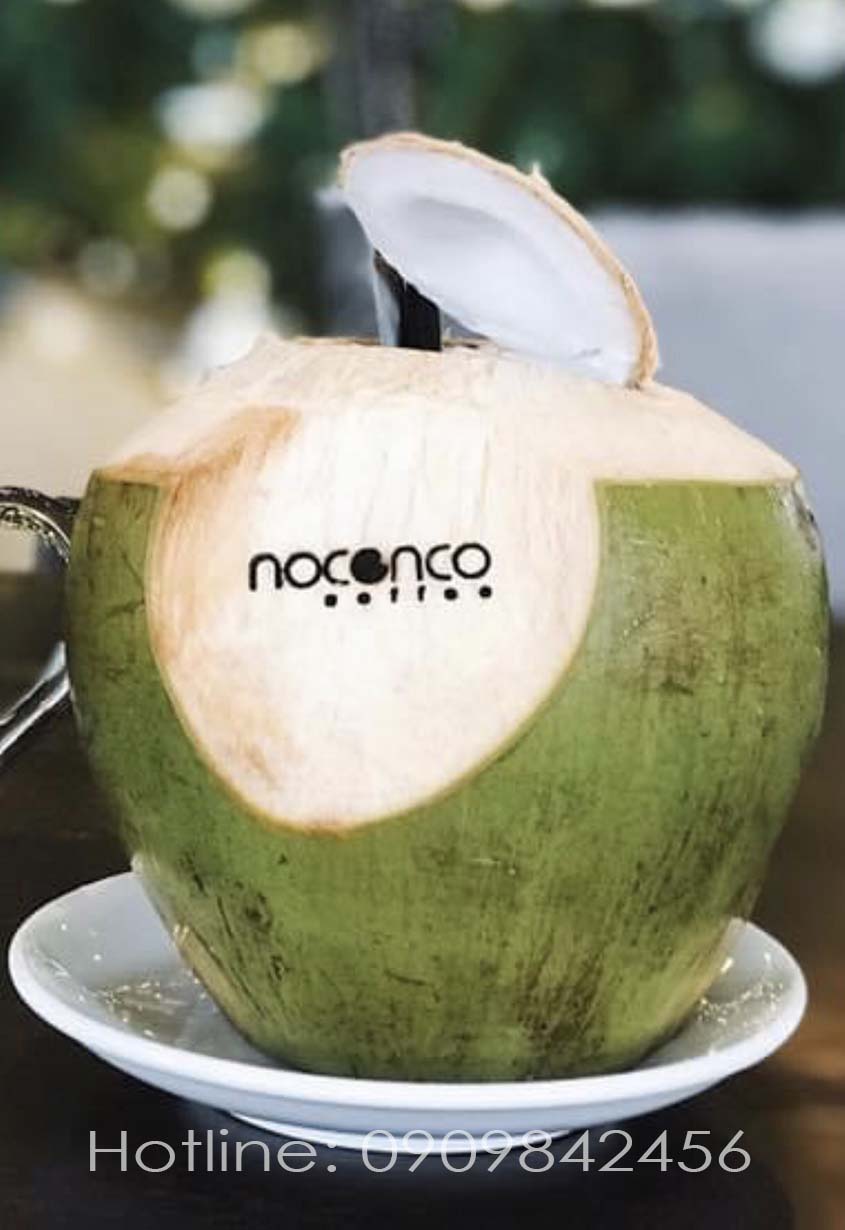 Máy in logo lên trái dừa