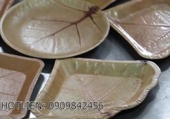 Máy làm chén dĩa từ lá cây