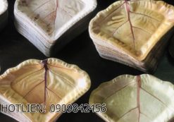 May lam chen dia tu la cay 02