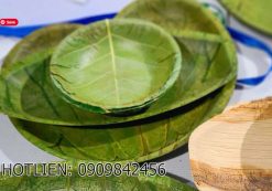 May lam chen dia tu la cay 03