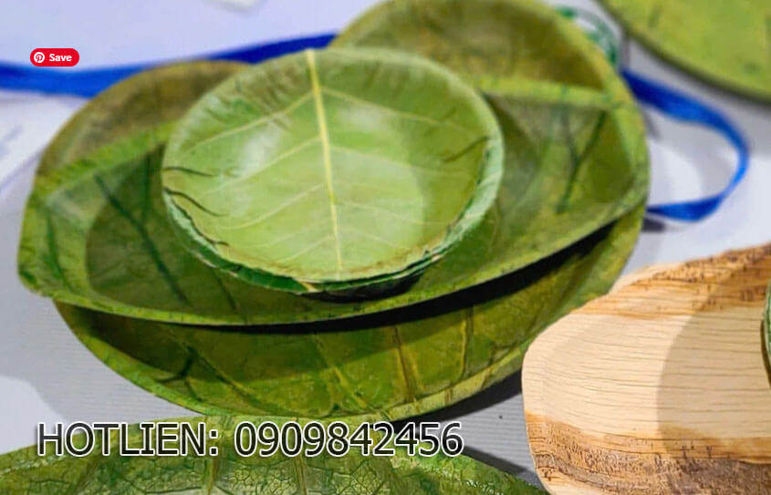 Quy trình ép lá bàng biển tạo ra chén, dĩa