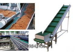 băng tải thực phẩm